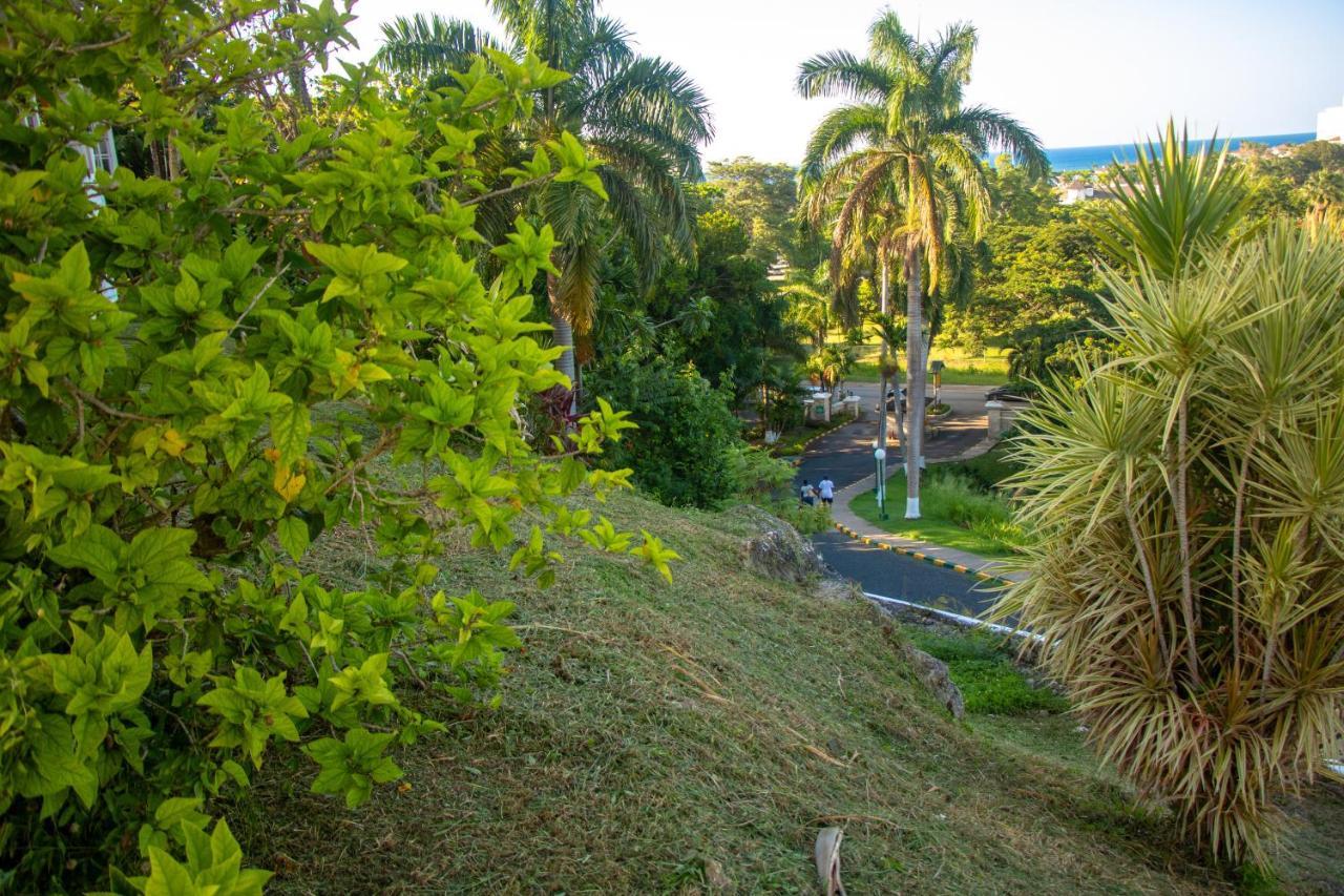 Apartament E 20 Mystic Ridge Ocho Rios Zewnętrze zdjęcie